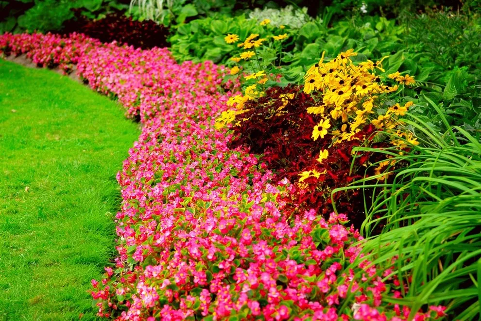 Sartin Services Lawncare INC - Photo 2