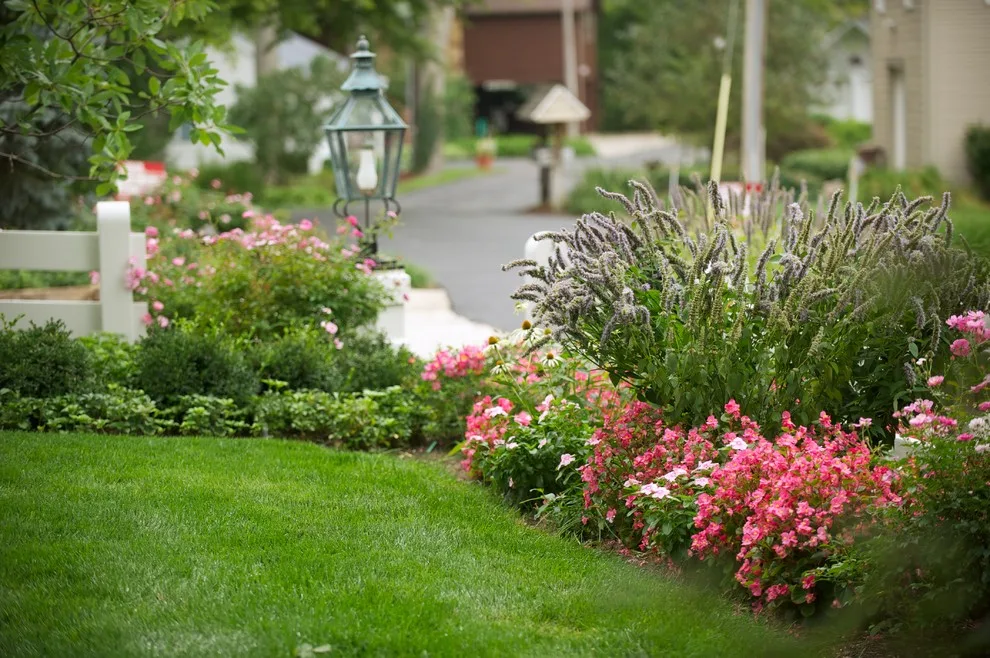 Garden Design by Bruce Ewing - Photo 6