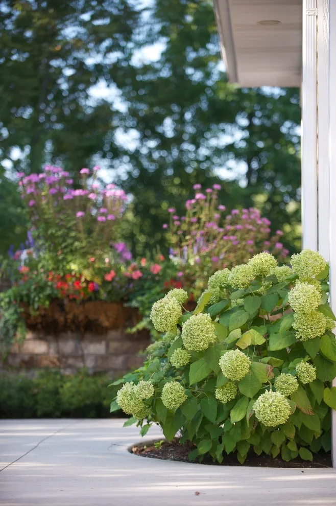 Garden Design by Bruce Ewing - Photo 5