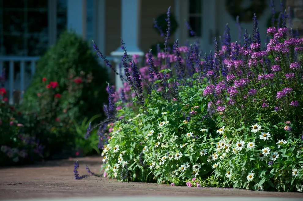 Garden Design by Bruce Ewing - Photo 8