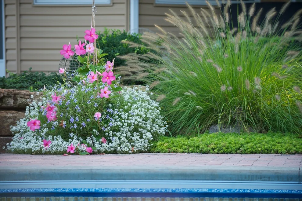 Garden Design by Bruce Ewing - Photo 19