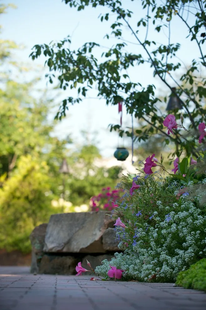 Garden Design by Bruce Ewing - Photo 4