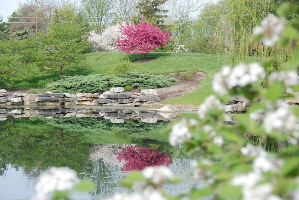 Garden Design by Bruce Ewing - Photo 11