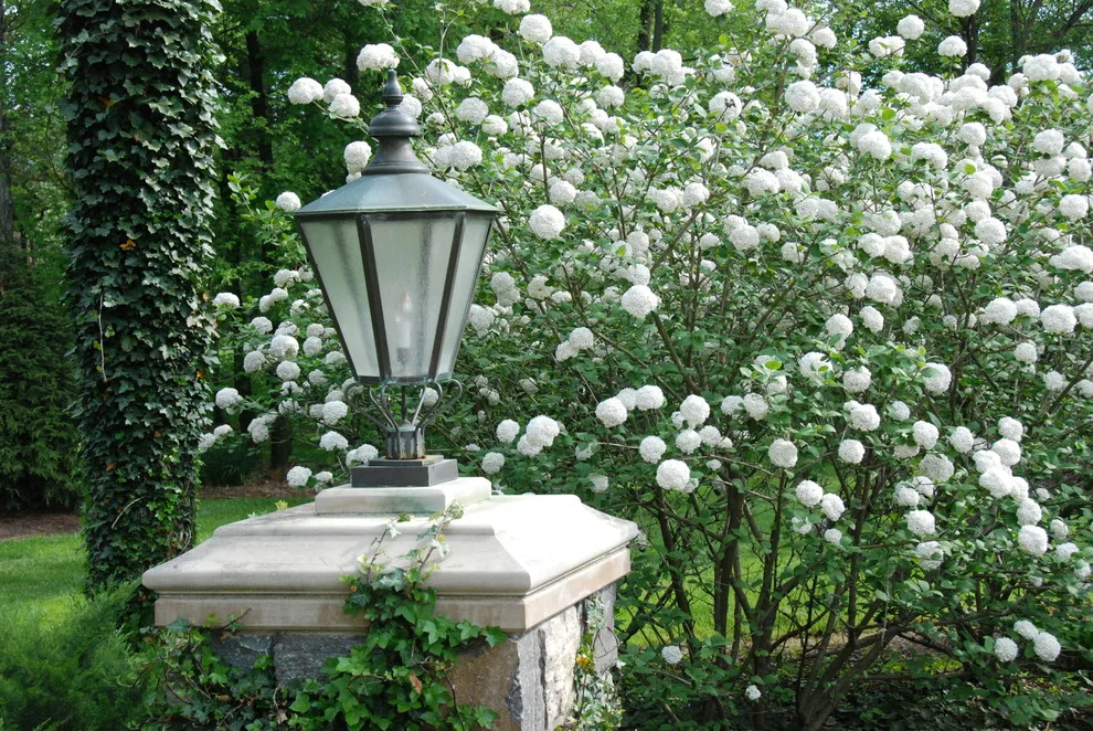 Garden Design by Bruce Ewing - Photo 16