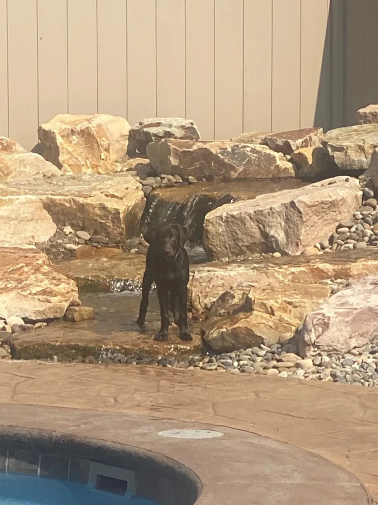 Expansive Pondless Water Feature by Shaylor's Ponds & Patios - Photo 3