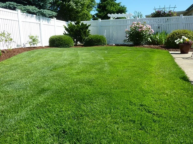 Grass Aeration by R&D Lawn Care And Landscaping - Photo 4