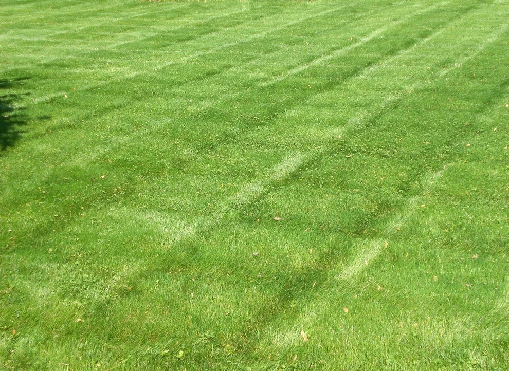 Grass Aeration by R&D Lawn Care And Landscaping - Photo 3