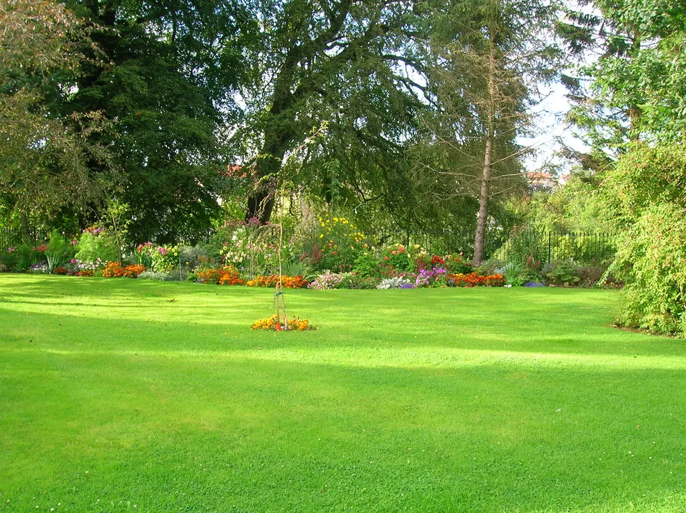 Grass Aeration by R&D Lawn Care And Landscaping - Photo 2
