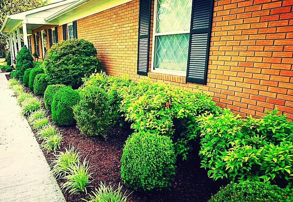 Meese Creative Landscaping And Remodeling - Photo 14