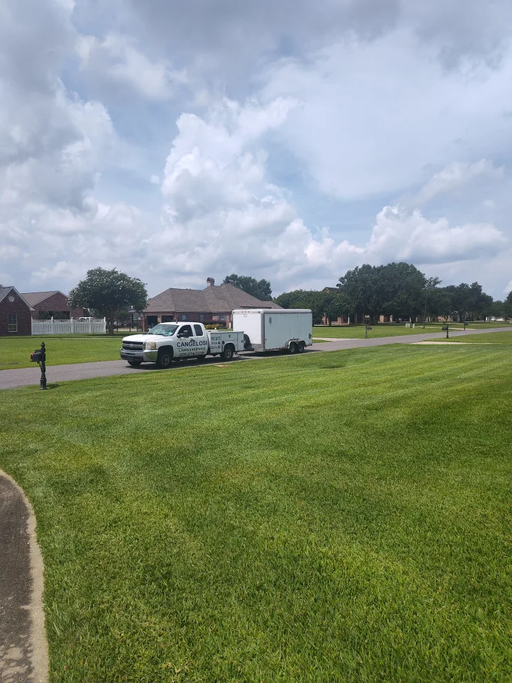 Cangelosi Lawns LLC - Photo 11