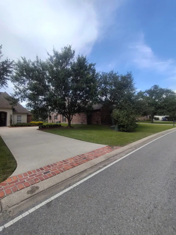 Cangelosi Lawns LLC - Photo 10