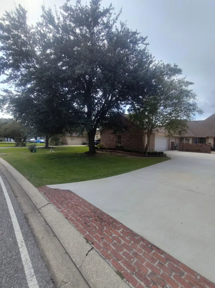 Cangelosi Lawns LLC - Photo 9