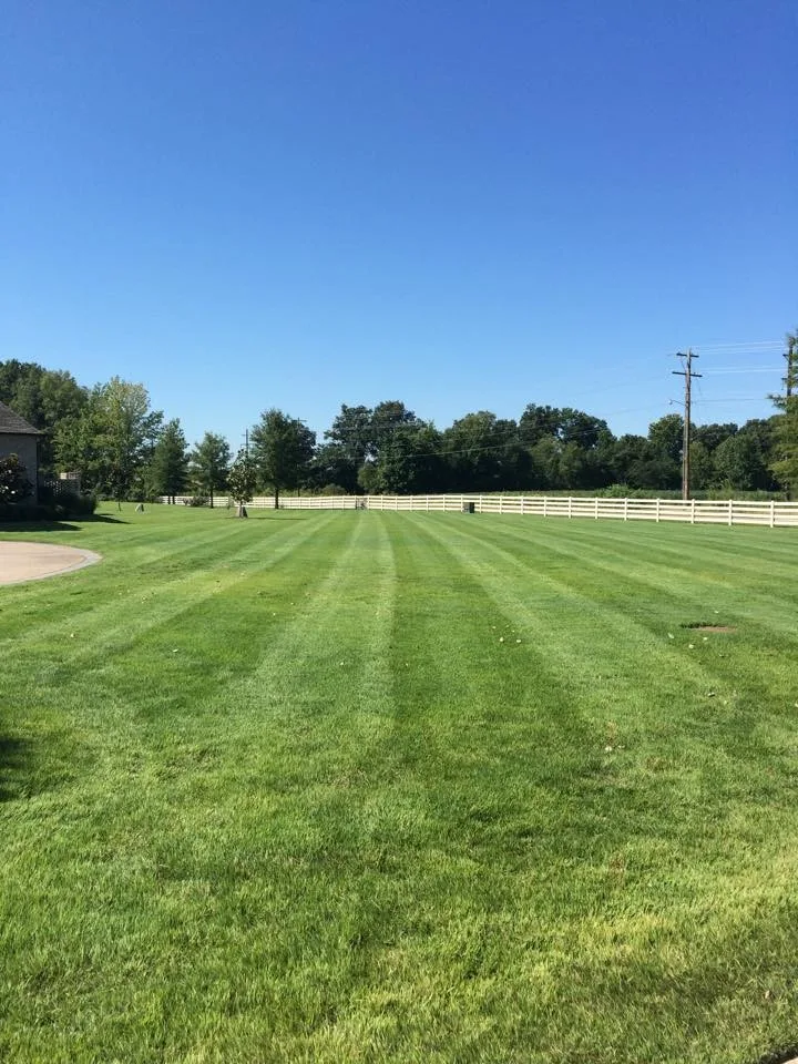Reliable Lawncare - Photo 7