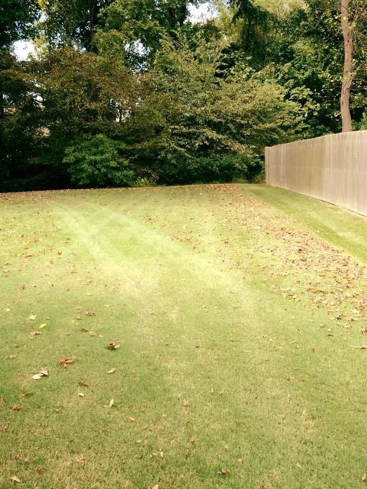 Reliable Lawncare - Photo 4