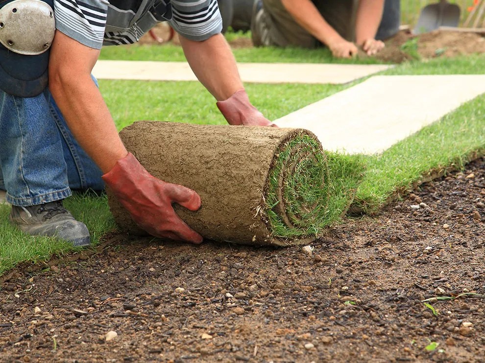 First Class Landscape Construction - Photo 11