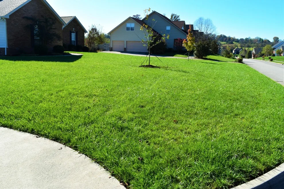 West Farragut Lawn Revival by Bullington Land Management Corp. - Photo 4