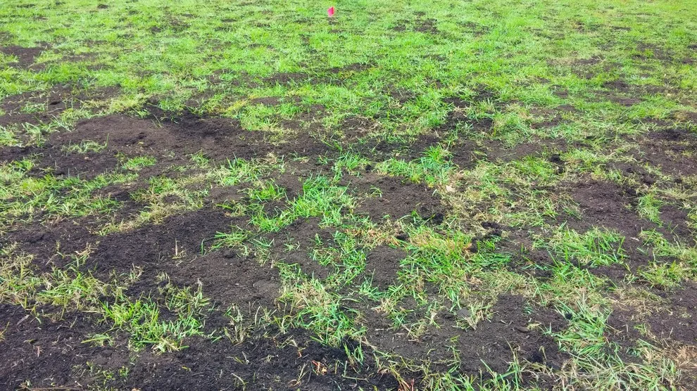 West Farragut Lawn Revival by Bullington Land Management Corp. - Photo 3