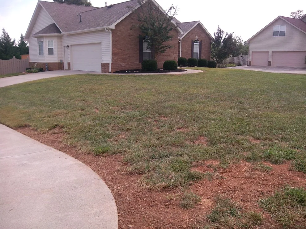 Bullington Land Management Corp. - Photo 11