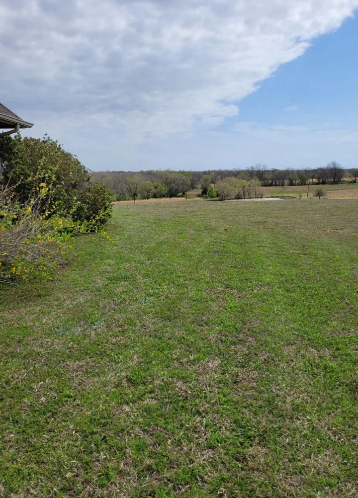 Bee Sure Lawn And Landscape - Photo 11