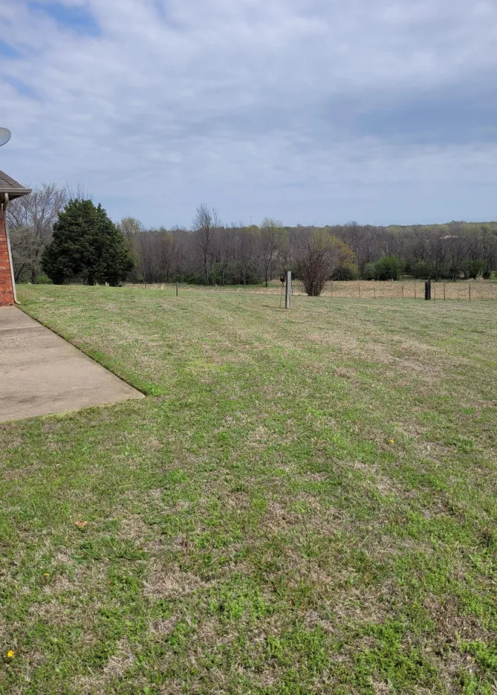 Bee Sure Lawn And Landscape - Photo 8