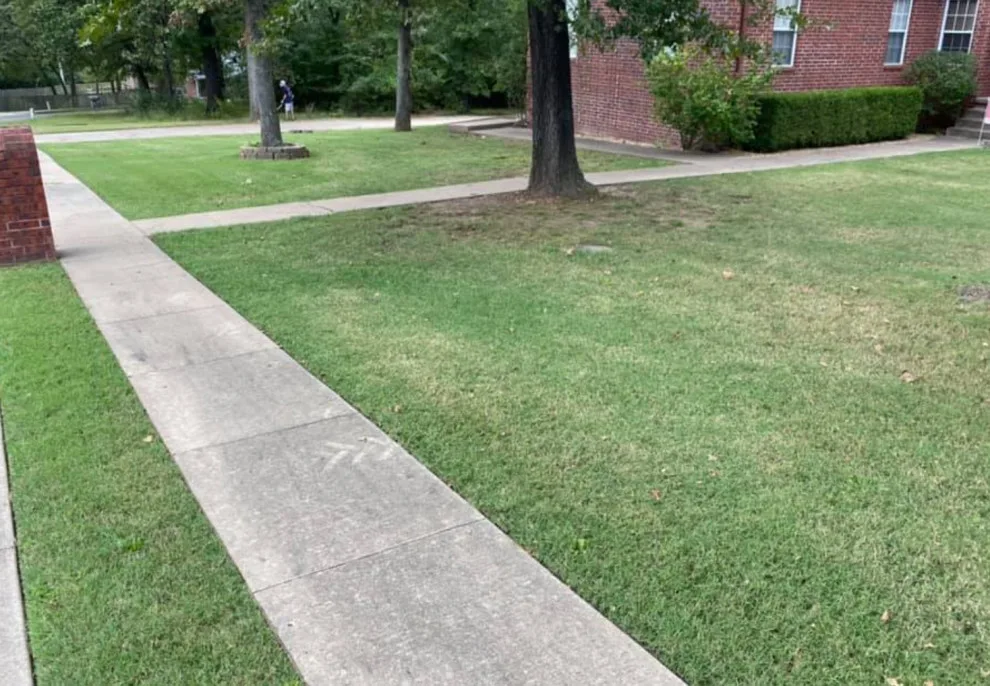Bee Sure Lawn And Landscape - Photo 14