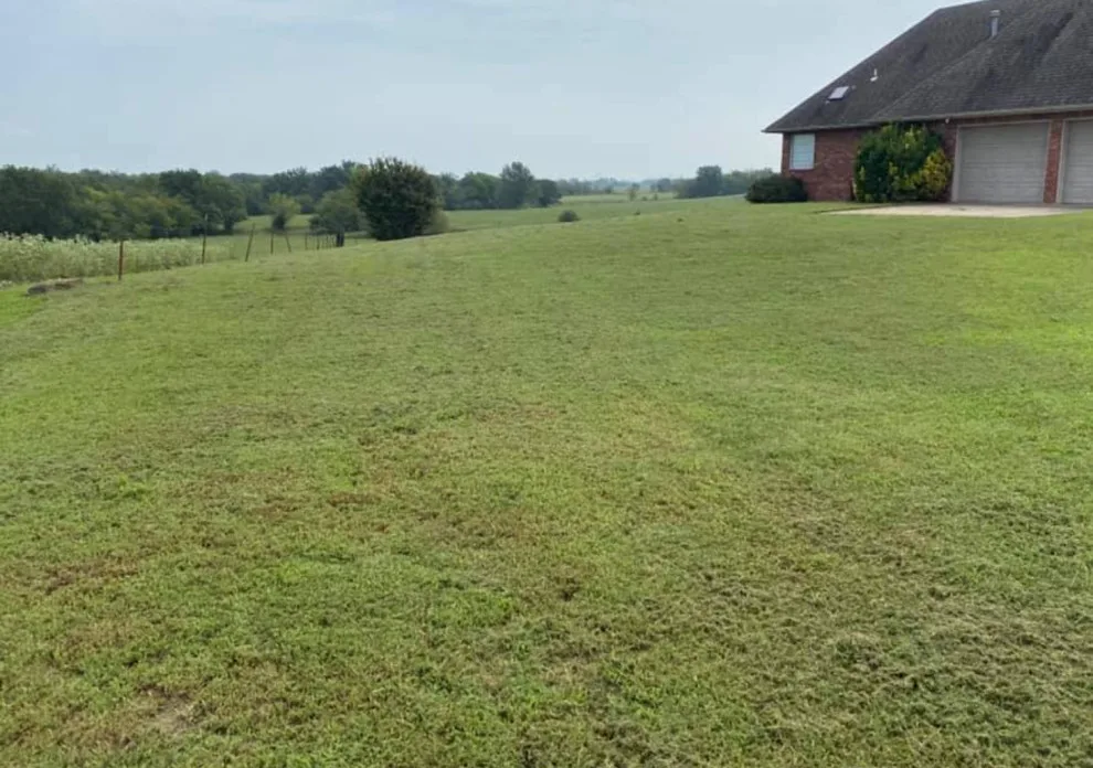 Bee Sure Lawn And Landscape - Photo 10