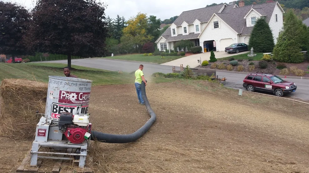 Grass Areas by A-Z Landscaping LLC - Photo 3