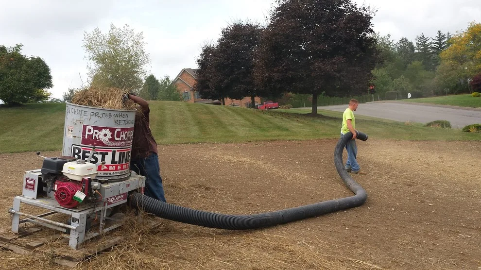 Grass Areas by A-Z Landscaping LLC - Photo 2