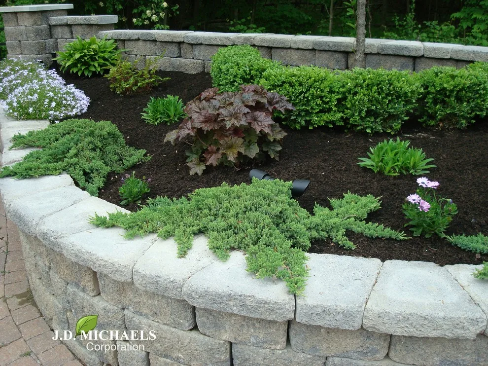 Poolside Living Wall by JD Michaels Landscape - Photo 3