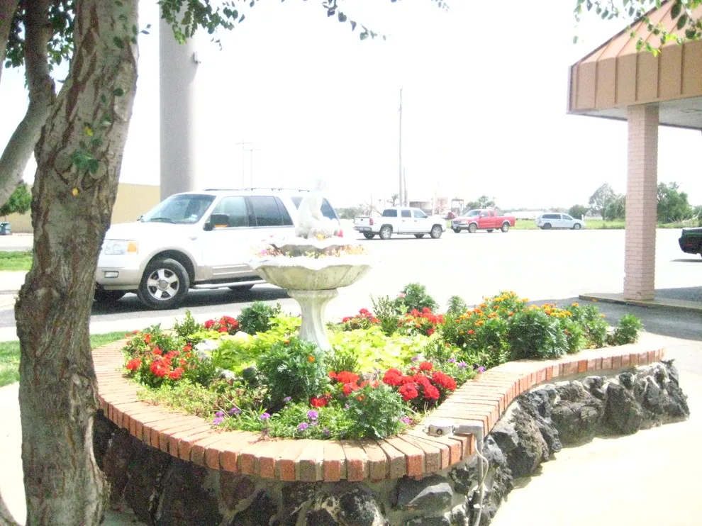 Lone Star Home and Garden Collection by Lone Star Home & Garden - Photo 2