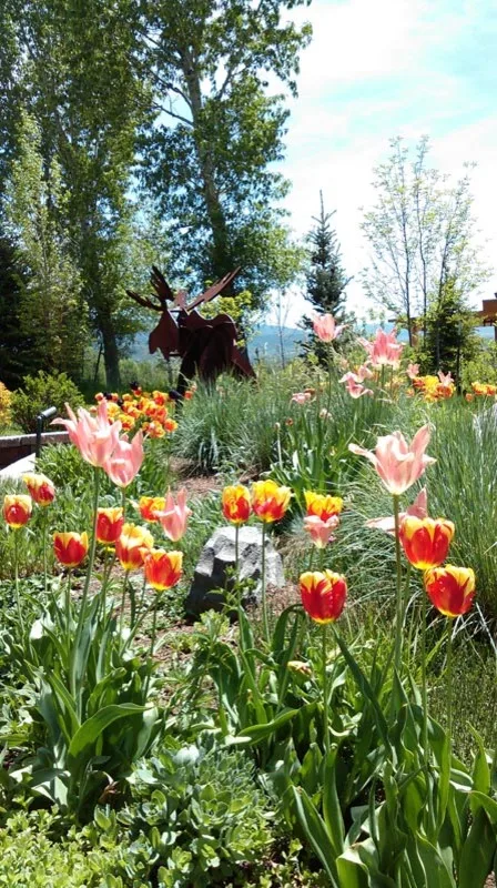 Novus Landscape - Photo 10