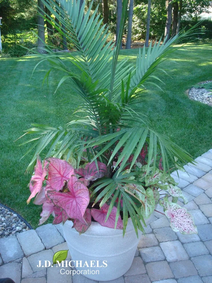 Maintenance Images by JD Michaels Landscape - Photo 10