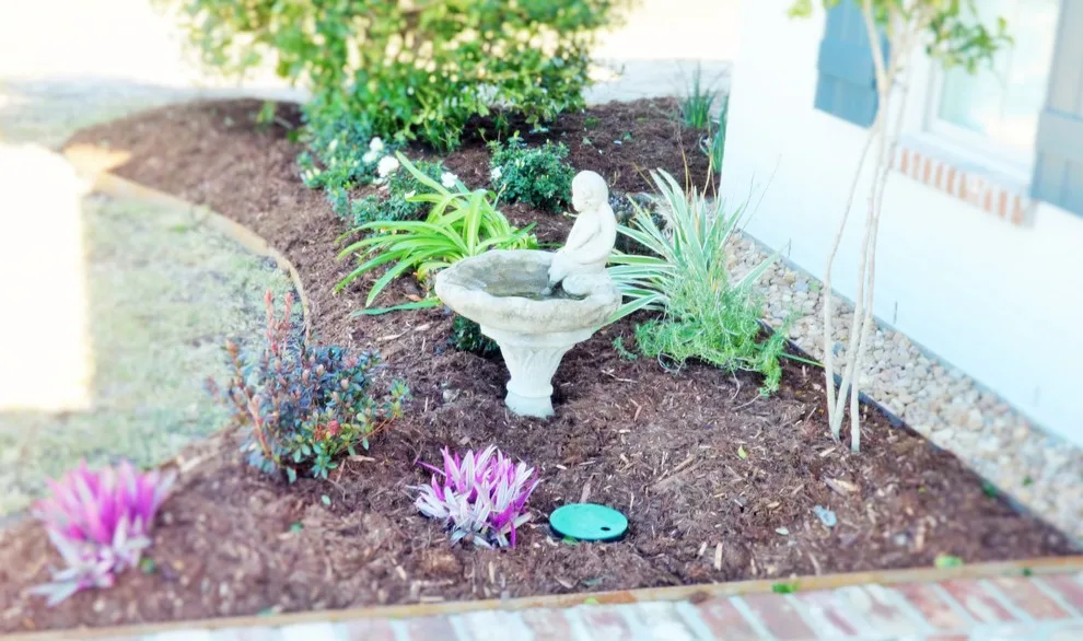 Holly Mary Nell by Lollys Gardening - Photo 3