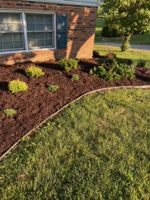 McDaniel's Landscaping - Photo 5