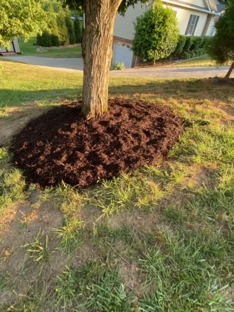McDaniel's Landscaping Initiatives by McDaniel's Landscaping - Photo 6