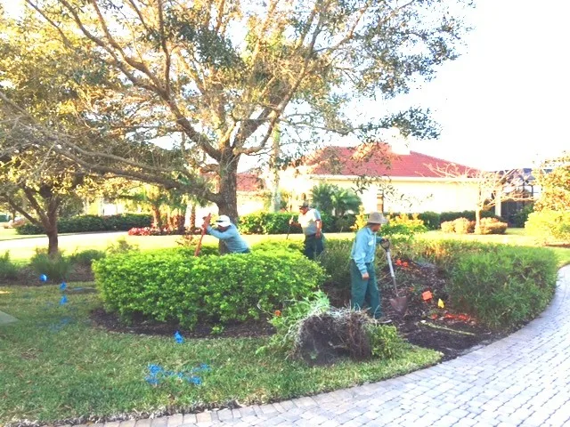 McDougall Setup by Photoscape Landscape And Design - Photo 2