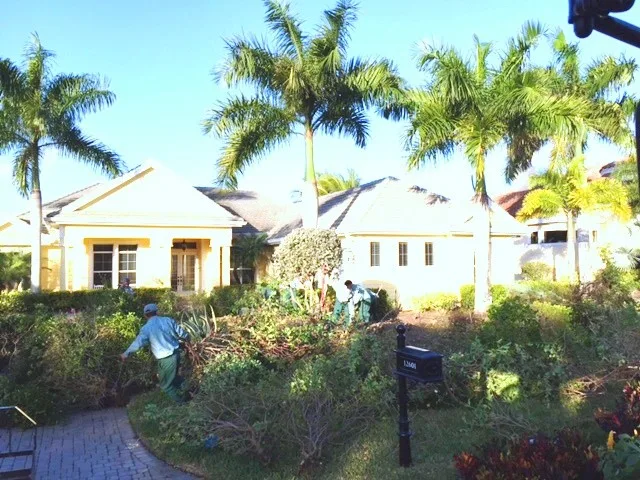 McDougall Setup by Photoscape Landscape And Design - Photo 11