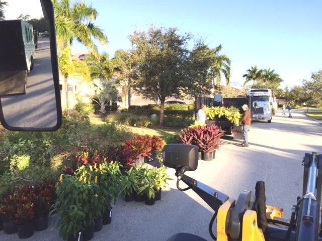 McDougall Setup by Photoscape Landscape And Design - Photo 30