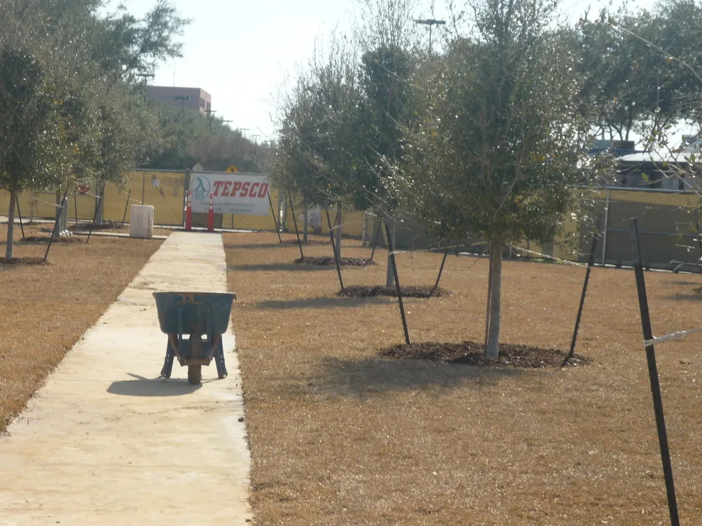 Healthcare Facility by A.D. I. Landscaping And Tree Services - Photo 2
