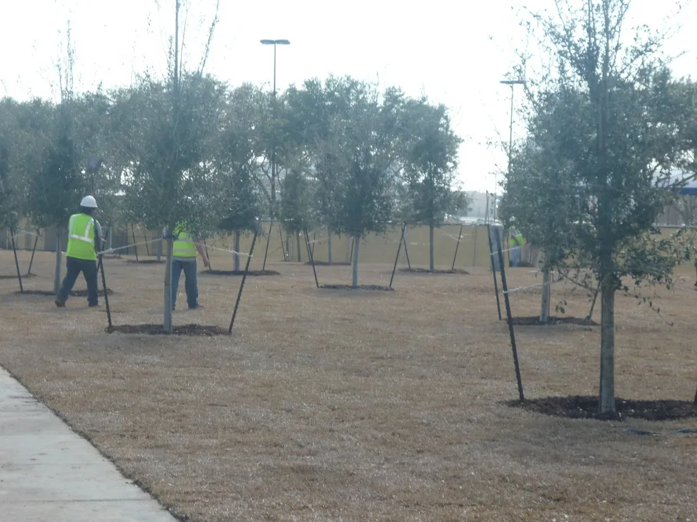 A.D. I. Landscaping And Tree Services - Photo 2