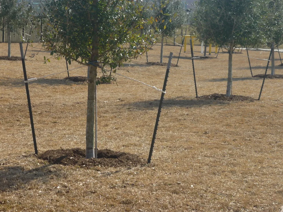 Healthcare Facility by A.D. I. Landscaping And Tree Services - Photo 3