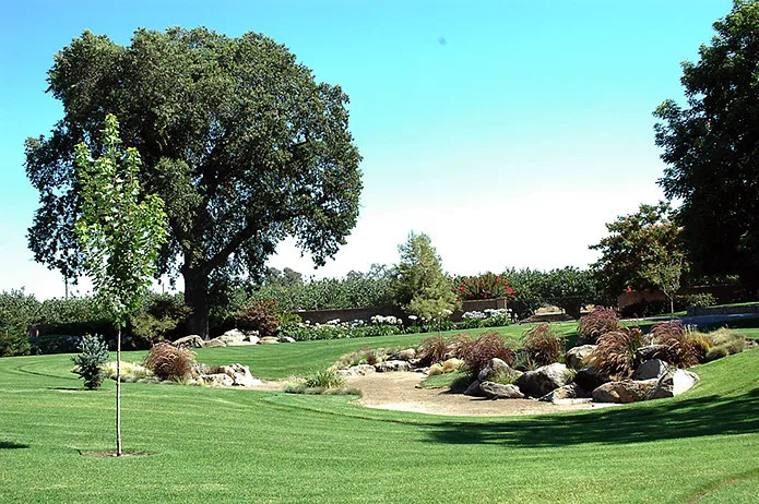 Mediterranean Manor by Plant Systems Landscape - Photo 8