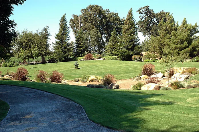 Mediterranean Manor by Plant Systems Landscape - Photo 5