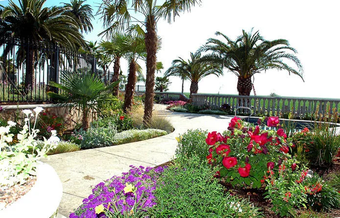 Mediterranean Marvel by Plant Systems Landscape - Photo 5