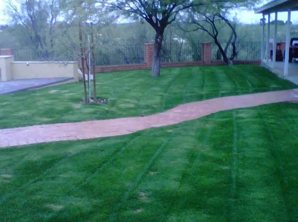 Transformers Landscaping - Photo 4