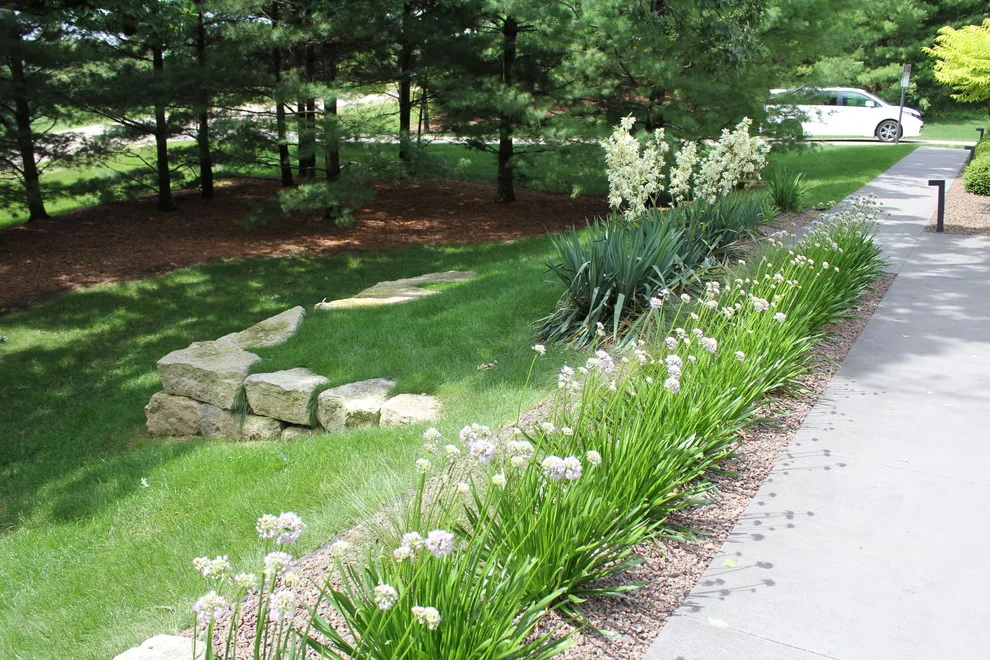 Contemporary Outdoor Garden Design by The Bruce Company - Photo 3