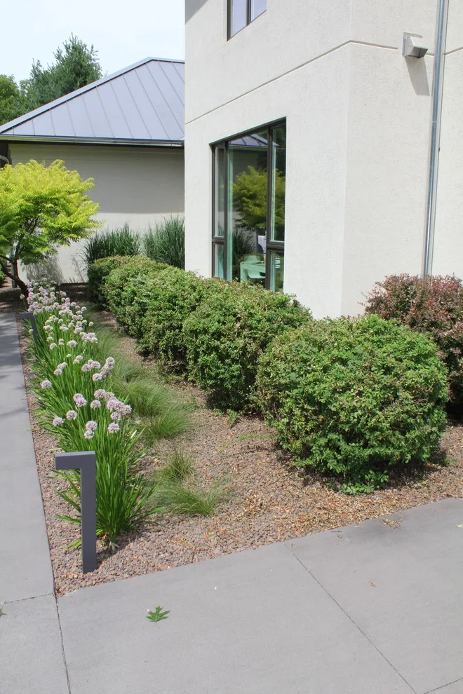 Contemporary Outdoor Garden Design by The Bruce Company - Photo 2
