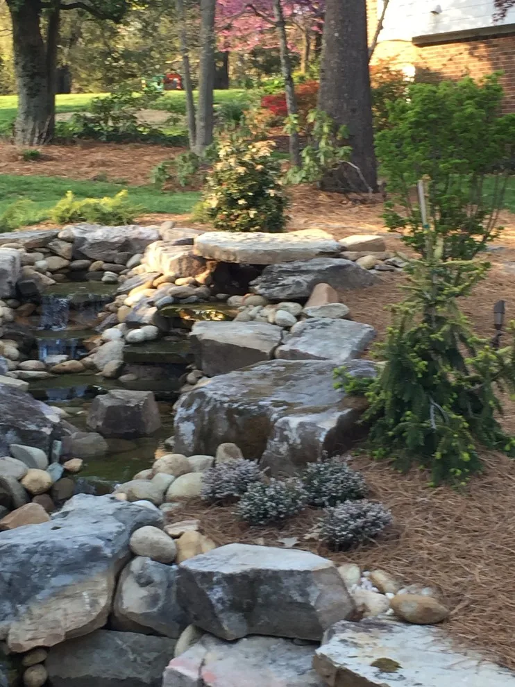 Naturescape Landscape & Irrigation LLC - Photo 2