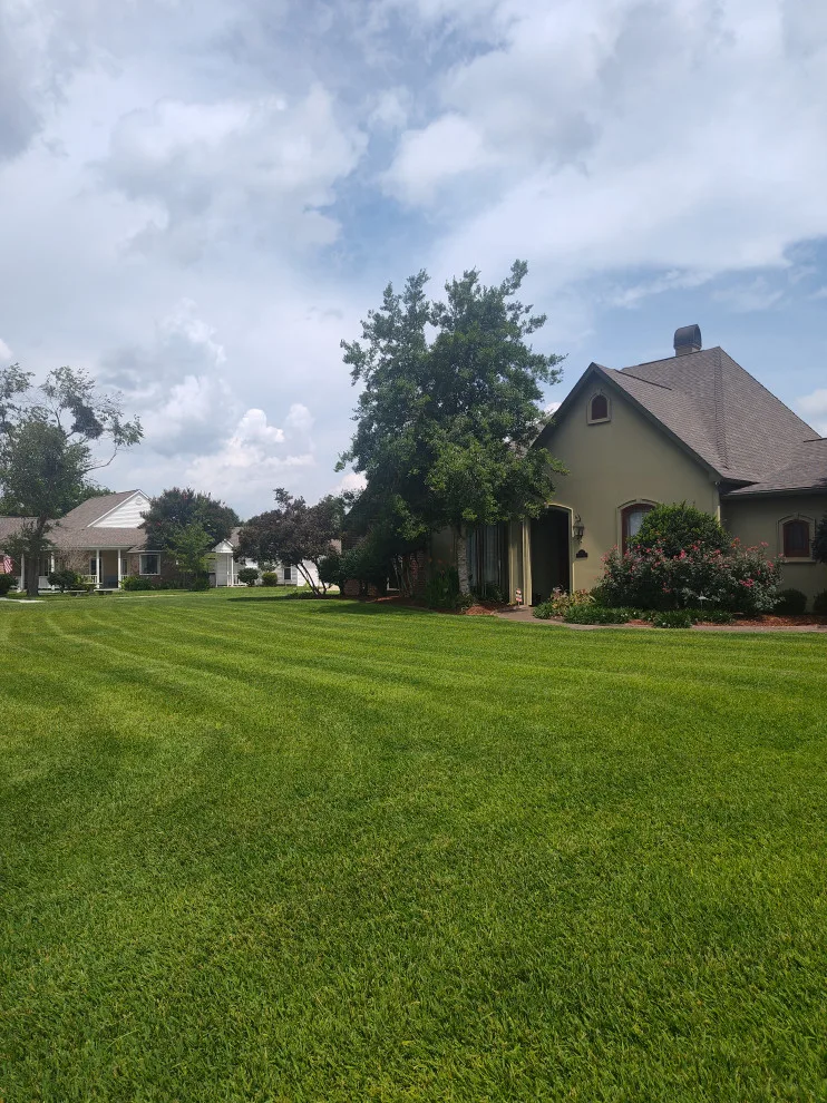 Cangelosi Lawns LLC - Photo 2