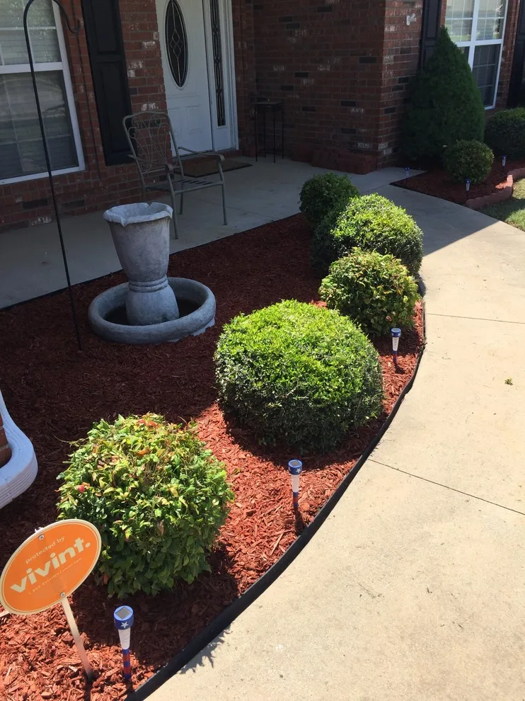 Precision Lawn & Landscaping, LLC - Photo 7